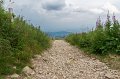 0824Grand Ballon